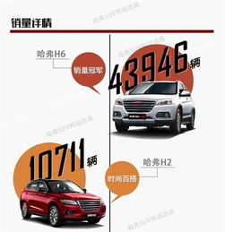 网通社汽车佳木斯安信 专业销售服务，驱动龙江出行新体验